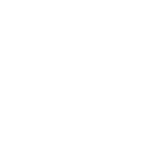 Spie