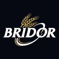 Logo BRIDOR